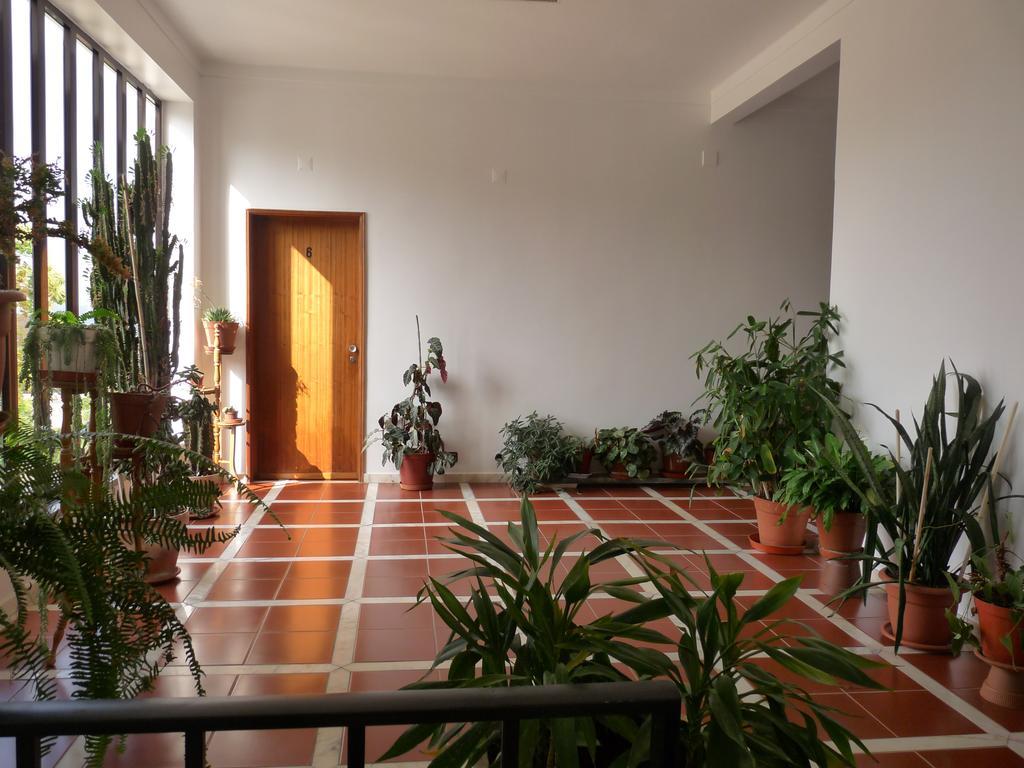 Residencial O Bras Hotel Alvaiazere ภายนอก รูปภาพ
